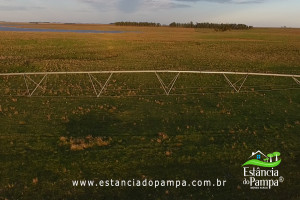 Fazenda com 1496 ha em Cachoeira do Sul localidade Irapu�.00_04_51_16.Quadro038_20c8eec9069ee4a795d038fa5be0c31f1788b73c.jpg